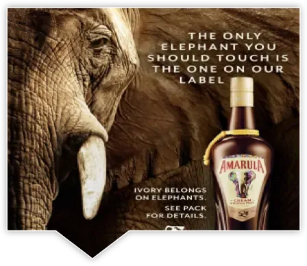 StoryMaking4Good Amarula