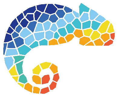 StoryMaking4Good Logo Chamaleon changing colors